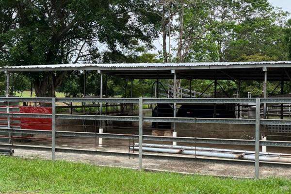 Farm with residence in ocú