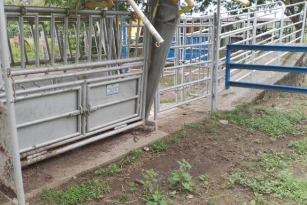 Fincas ganaderas en chame