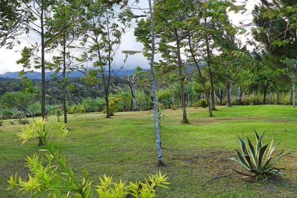 Finca campestre con múltiples edificaciones en palmira