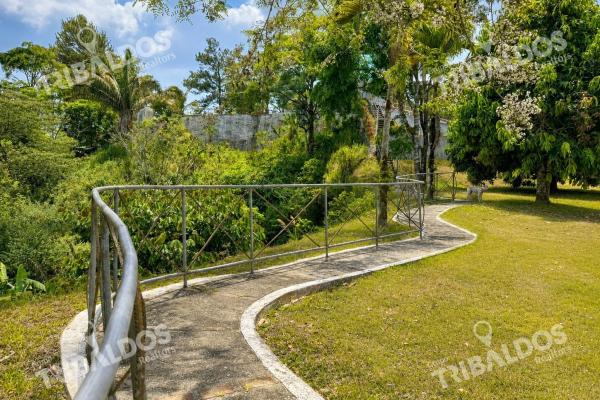 Venta de 1.8 hectáreas con ríos y senderos vía al valle de antón