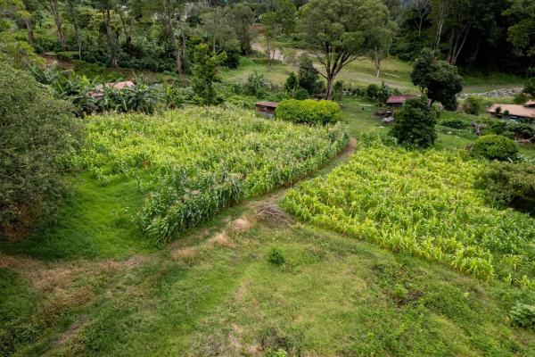 Terreno para desarrollo en el centro de boquete