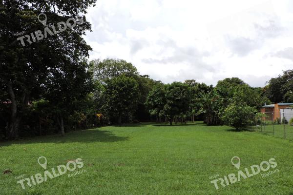 Terreno en santa clara