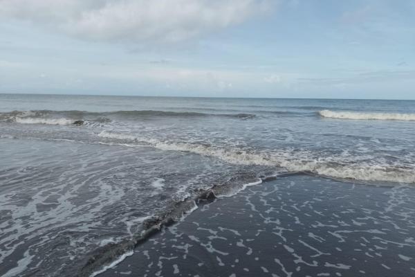 Terreno 69 hectareas en puerto armuelles, limones oportunidad de inversión