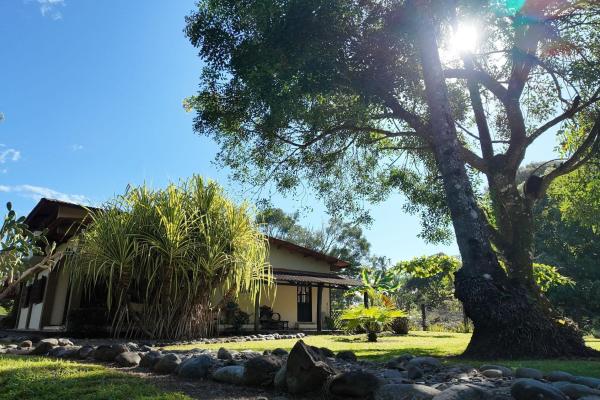 Home with 3 apartments, lagoon access