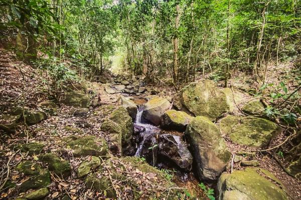 18.4 hectare land close to el cope, cocle