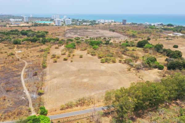 4.4-hectare land opportunity near buenaventura