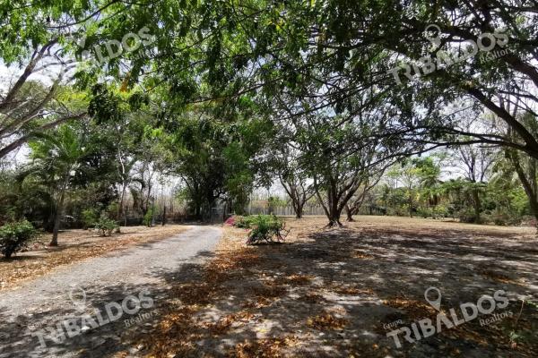 Finca en chame