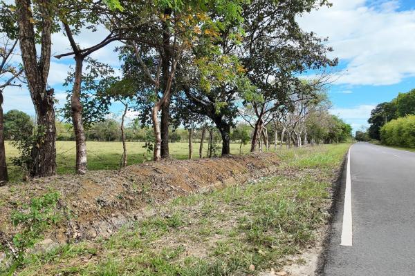 Prime flat land for sale in cochea abajo, david