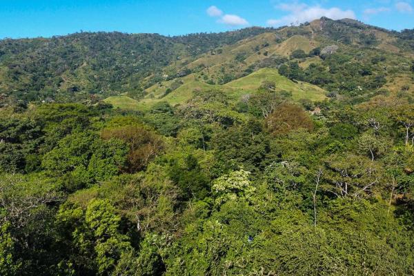 Cambutal lush property for sale near town