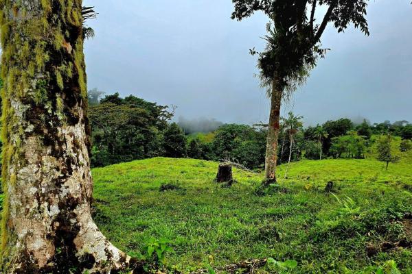 96.10 hectare in boquerón, las monjas