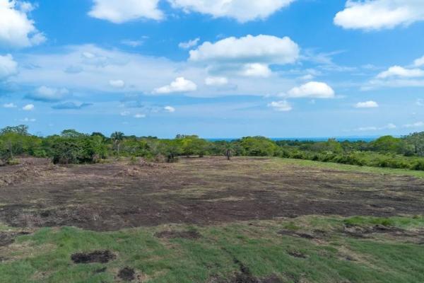 Terreno de 8 hectáreas en venta con acceso a la carretera panamericana.