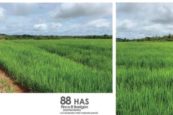Venta de finca agrícola en ocú 128 hectáreas