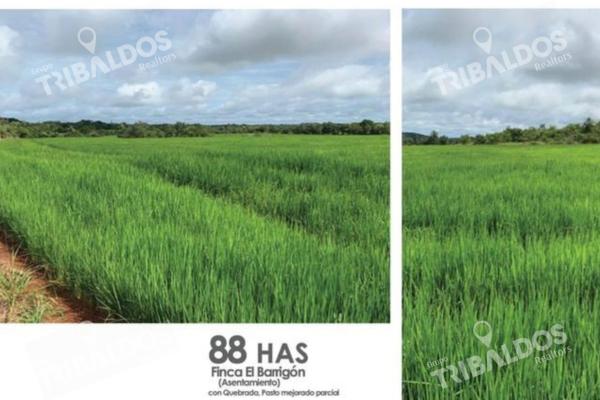 Venta de finca agrícola en ocú