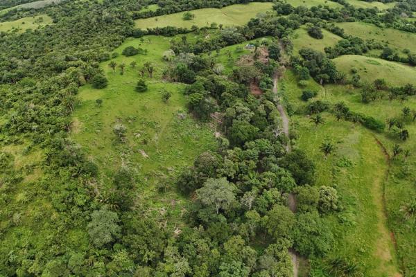 Se vende terreno para desarrollo residencial en el trapichito, la chorrera