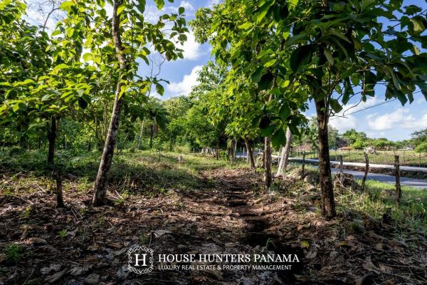Terreno urbanizable de 11 hectáreas en venta - bagalá, panamá