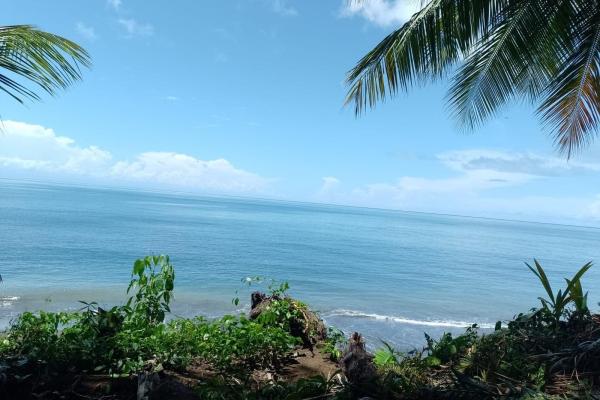 Land 172 acres in puerto armuelles, limones io