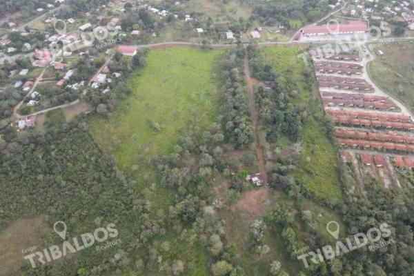Venta de terreno para desarrollo de casas en arraijan