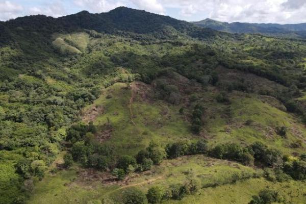Venta de finca margarita chepo 200 has