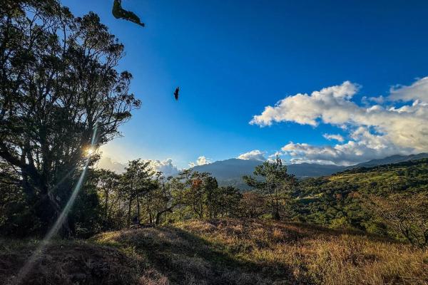 Lote con vista a la montaña en venta en jaramillo, boquete