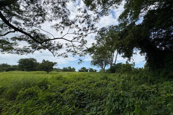 +9 hectares of flat beachfront land for sale