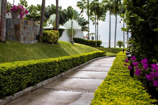 Apartment for rent in ph rio mar, san carlos