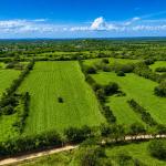 Se vende terreno agrícola de 9 hectáreas en los santos