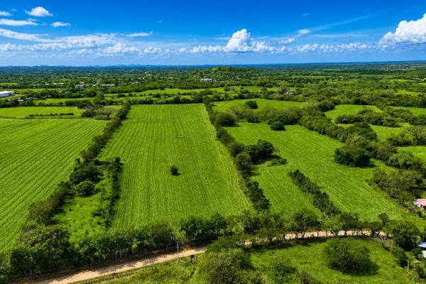 Se vende terreno agrícola de 9 hectáreas en los santos