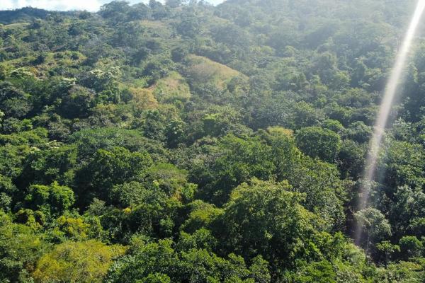 Cambutal lush property for sale near town