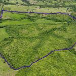 Sale of agricultural farm in ocú