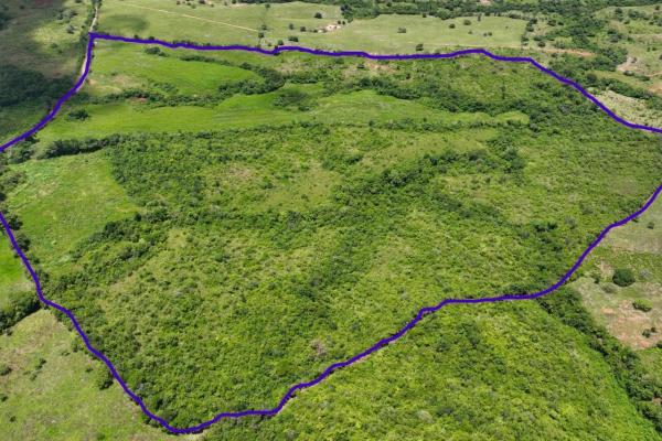 Sale of agricultural farm in ocú