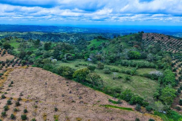 55.74 hectares of paradise in the mountains