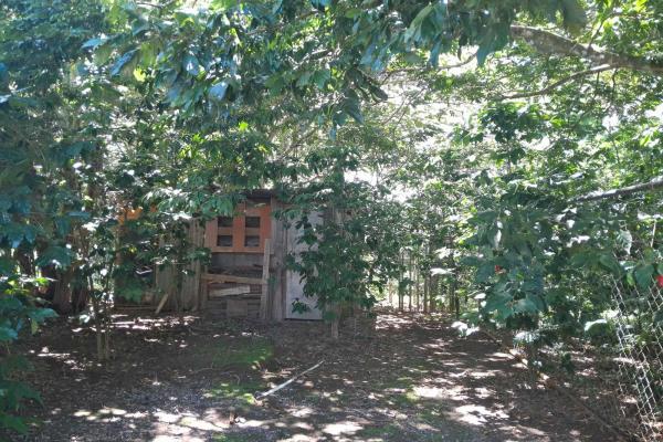 Cozy home for sale in palmira, boquete chiriqui