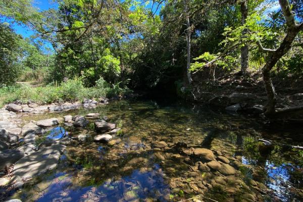 15 hectares fertile land potrerillos, chiriqui