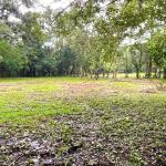 Property for sale – caldera, boquete district