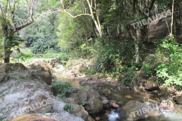 Venta de terreno en los llanitos, en el valle de antón