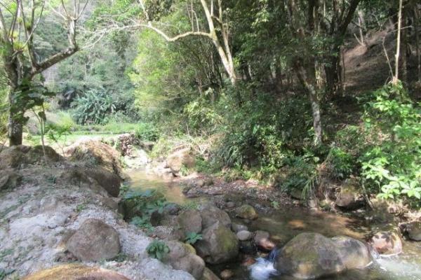 Venta de terreno en los llanitos, en el valle de anton