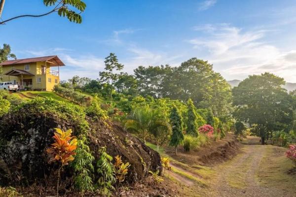 Coffee farm for sale in el cascajal, la pintada