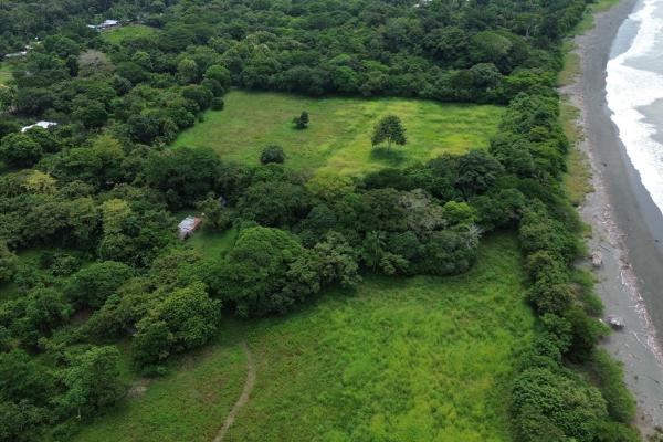 +9 hectares of flat beachfront land for sale