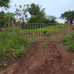 Monte viejo terreno en venta