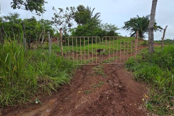 Monte viejo terreno en venta