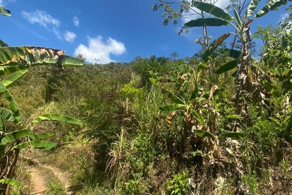 Land for sale in sorá