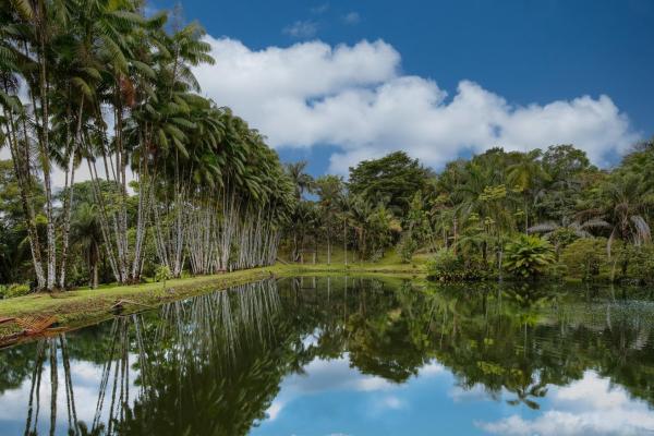 Finca residencial de 3,69 hectáreas con lagos, río y bosque.