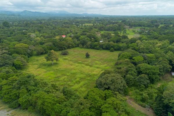 +9 hectares of flat beachfront land for sale