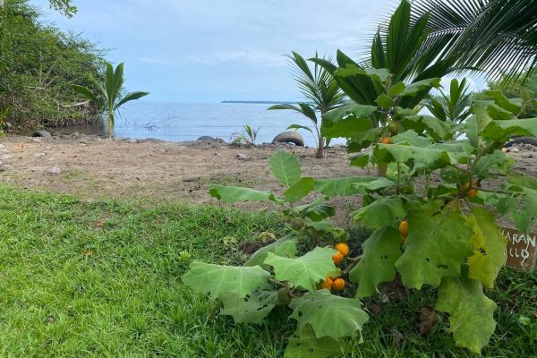 3 hectares of caribbean oceanfront