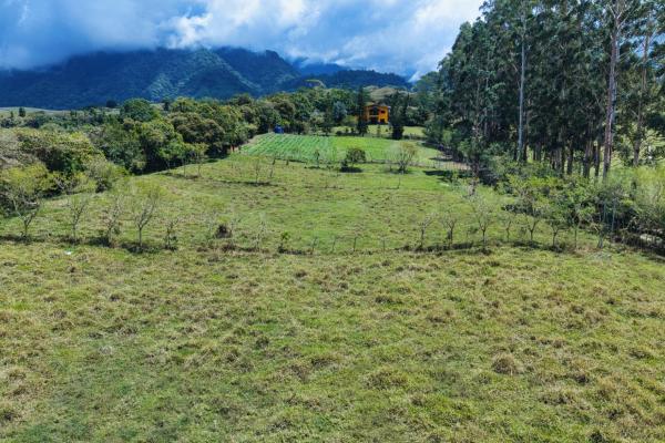 Land for sale – boquerón, cordillera arriba
