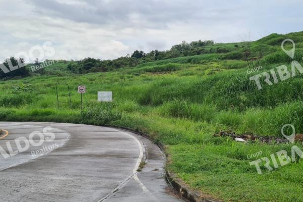 Se vende terreno para desarrollo residencial