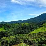 96.10 hectare in boquerón, las monjas