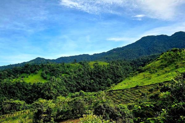 96.10 hectare in boquerón, las monjas