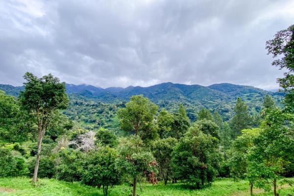 Build-ready land in alto quiel boquete