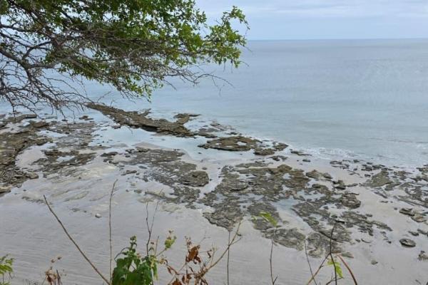 Terreno urbanizable frente al mar en venta | el palmar